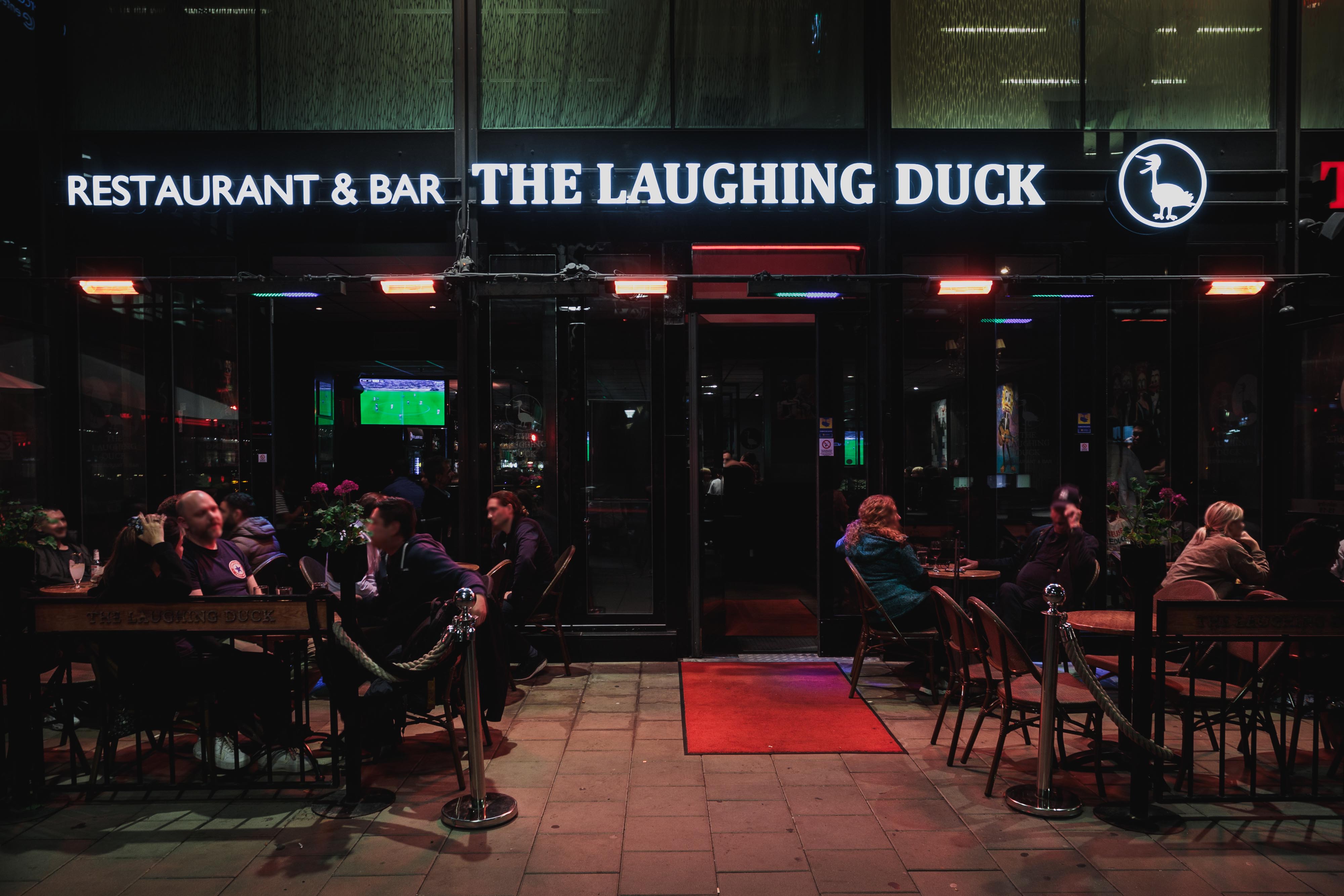 Laughing Duck