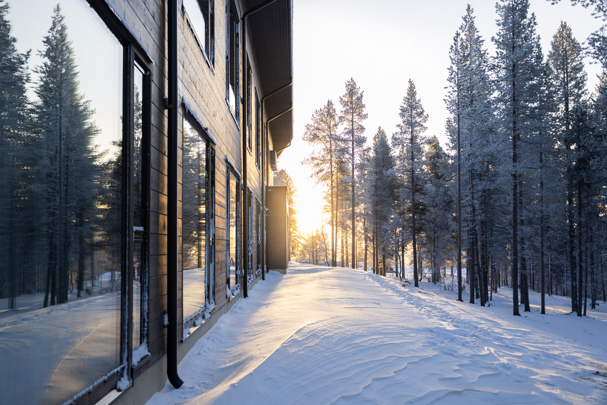 Gáldu Hotel & Spa i skogen vid Saariselkä